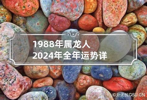 2024年 龙年|2024年龙人运势及运程 2024年属龙的全年运势